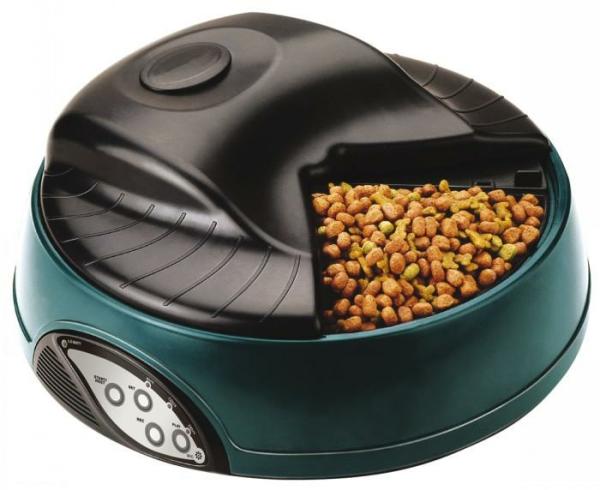 Cat Accessories |   Automatic Pet Feeder Bowl Cat Accessories