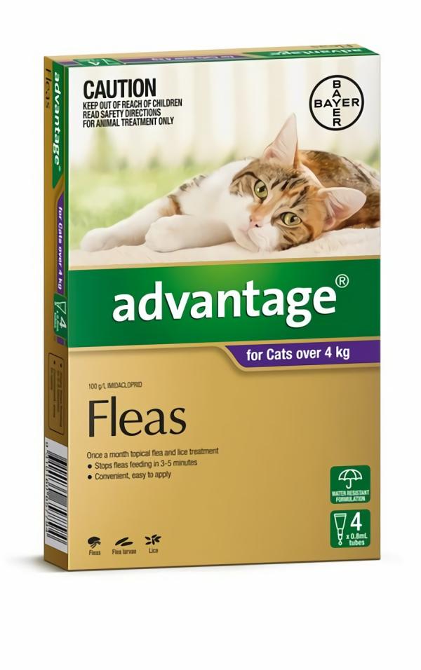 Cat Health |   Advantage Cats Over 4Kg 4 Pack Cat Cat Health