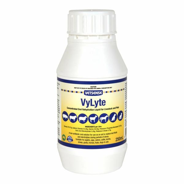 Cat Health |   Vetsense Vylyte 250Ml Cat Cat Health