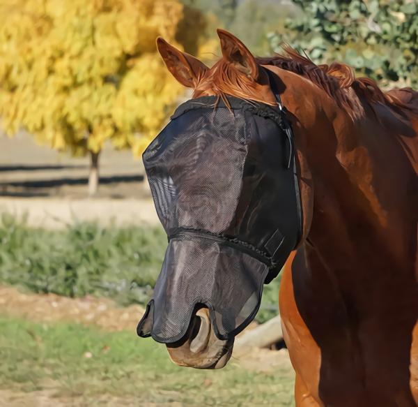 Horse Accessories |   Flyveils By Design Extended Nose Fur Fly Masks Horse Horse Accessories