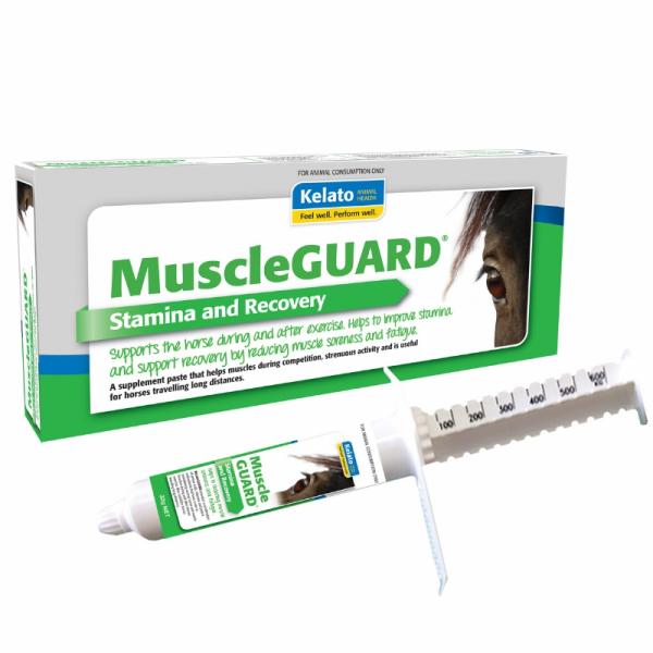 Horse Health |   Kelato Muscleguard 32G Horse Horse Health