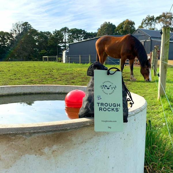 Horse Health |   Trough Rocks 3Kg Horse Horse Health