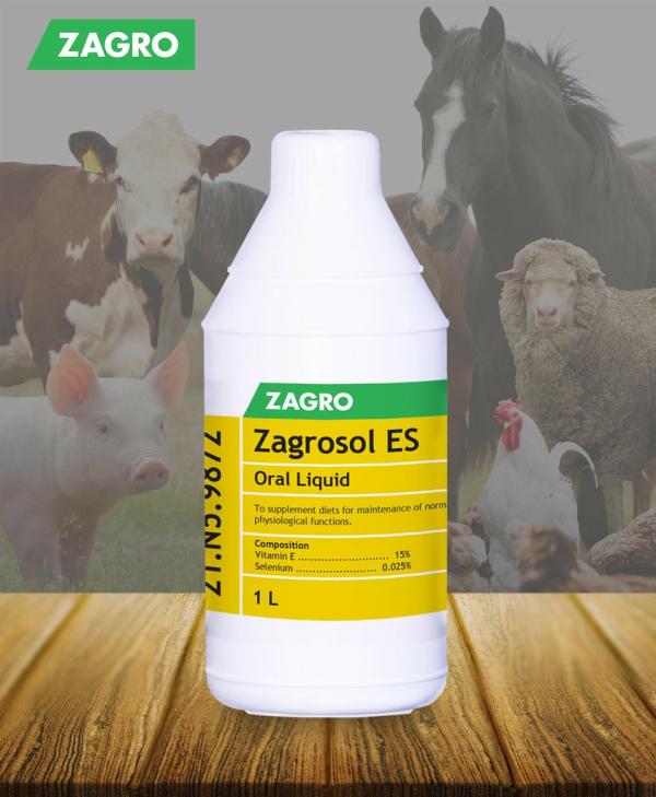 Horse Health |   Zagrosol Es 1L Horse Horse Health