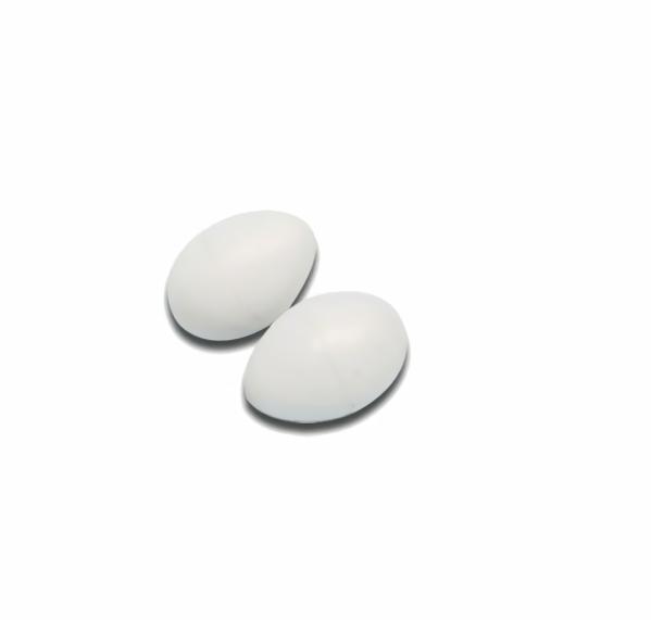 Poultry Accessories |   Poultry Nesting Eggs – Plastic 2 Pack Poultry Poultry Accessories