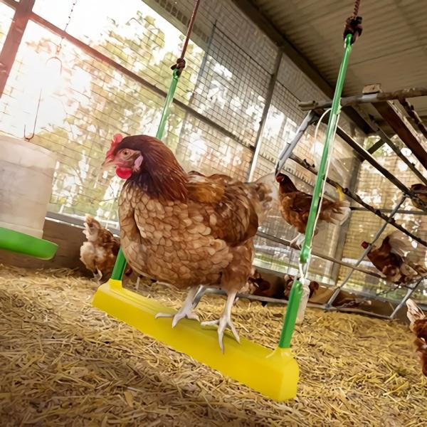 Poultry Cages & Accessories |   Chicken Swing Poultry Poultry Cages & Accessories