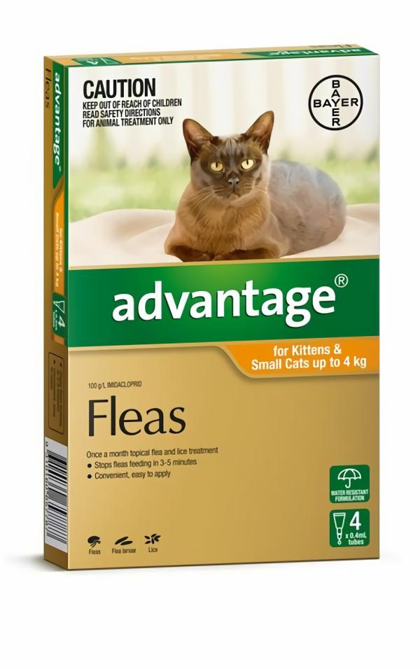 Cat Health |   Advantage Small Cat & Kitten 0-4Kg 4 Pack Cat Cat Health