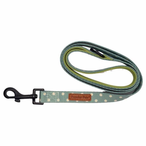 Collars & Restraints |   Sage Daisy Dog Lead Collars & Restraints Collars & Restraints