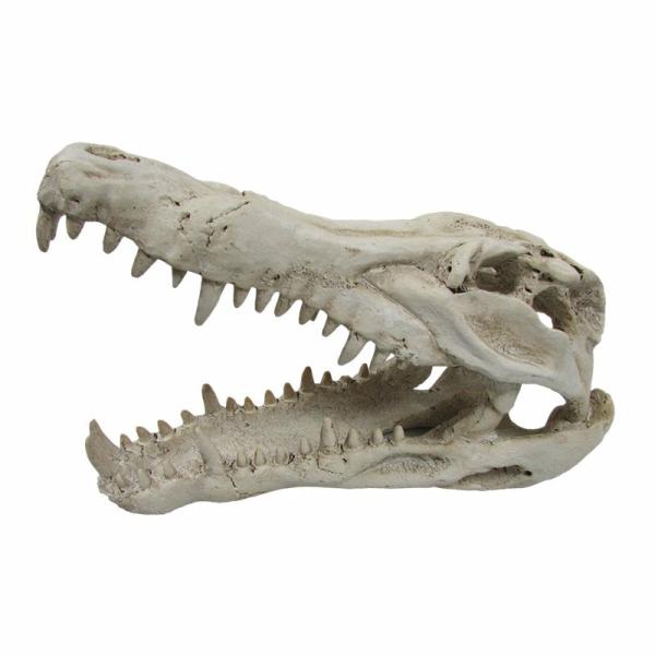 Fish Tanks & Accessories |   Urs Croc Skull Medium Fish & Aquarium Fish Tanks & Accessories