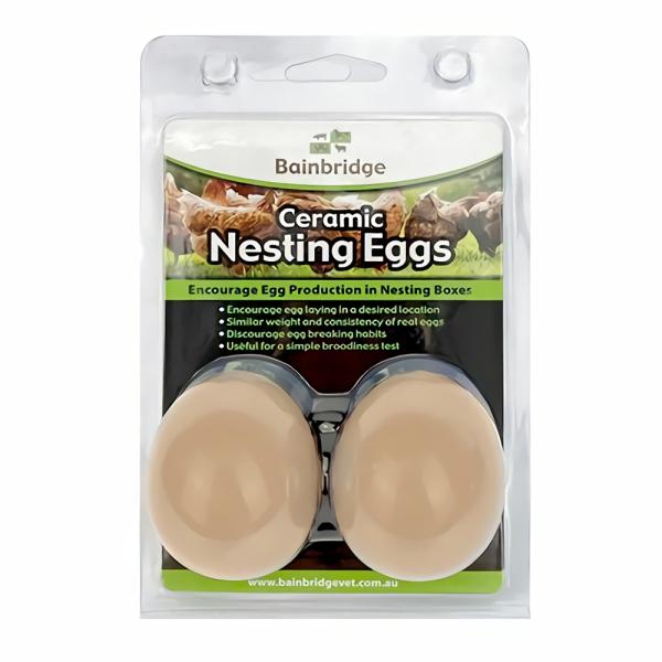 Poultry Accessories |   Poultry Nesting Eggs – Ceramic 2 Pack Poultry Poultry Accessories